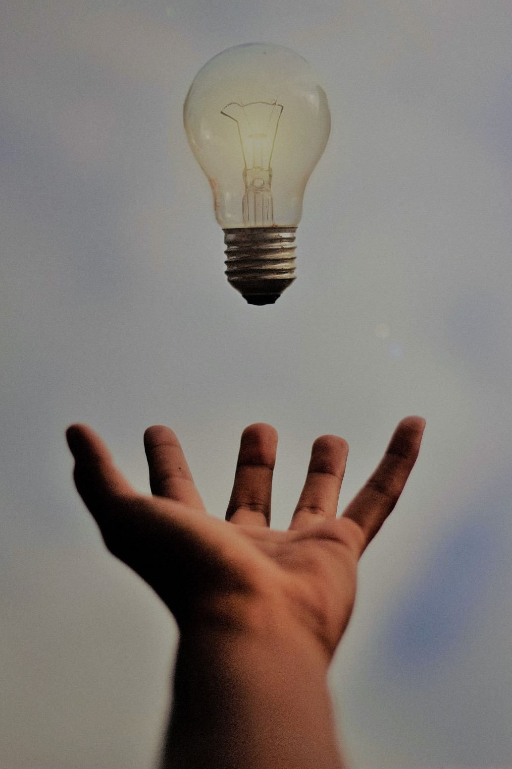 junior-ferreira-7esRPTt38nI-unsplash