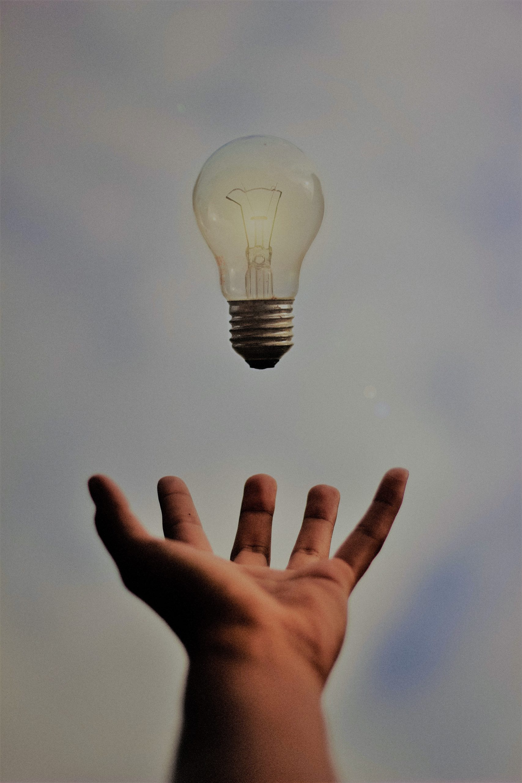 junior-ferreira-7esRPTt38nI-unsplash